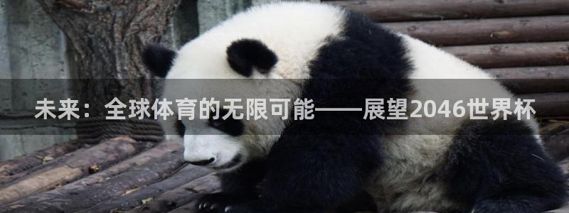 今天所有足球赛程表：未来：全球体育的无限可能——展望2046世界杯