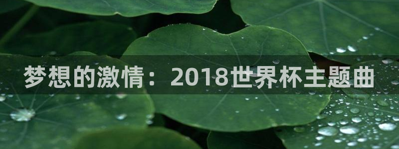葡萄牙世界杯赛程：梦想的激情：2018世界杯主题曲