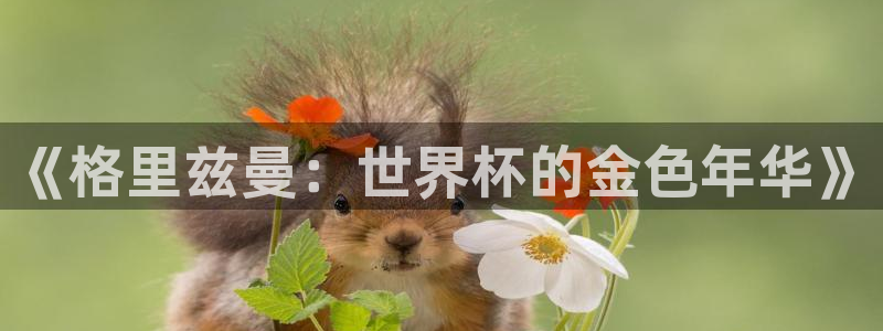 2026世界杯德国队阵容：《格里兹曼：世界杯的金色年华》