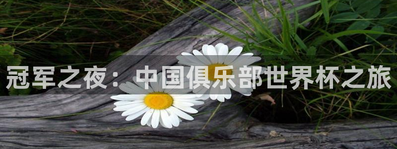 免费看足球直播比赛：冠军之夜：中国俱乐部世界杯之旅