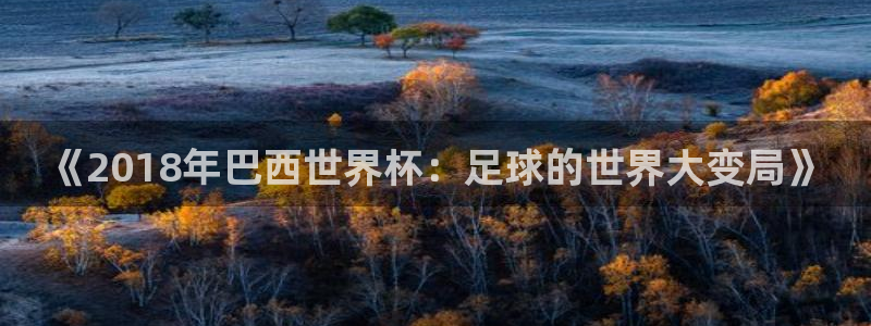 亚洲杯足球：《2018年巴西世界杯：足球的世界大变局》