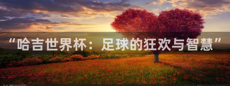 2026世界杯赛程时间表最新：“哈吉世界杯：足球的狂欢与智慧”