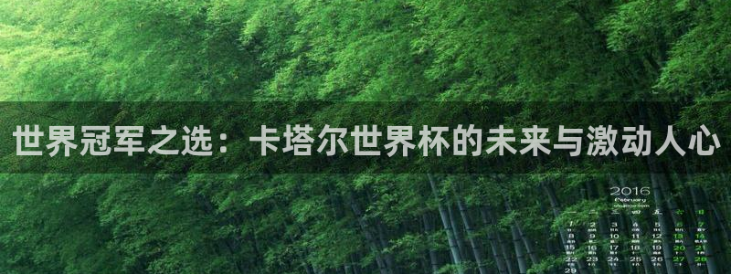 世界杯决赛预测：世界冠军之选：卡塔尔世界杯的未来与激动人心