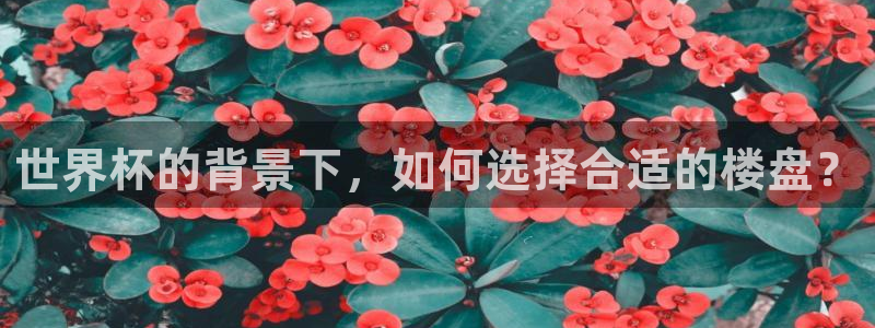 今天所有足球赛程表：世界杯的背景下，如何选择合适的楼盘？