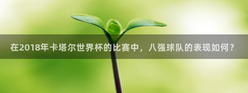 世界杯对阵图2026：在2018年卡塔尔世界杯的比赛中，八强球队的表现如何？