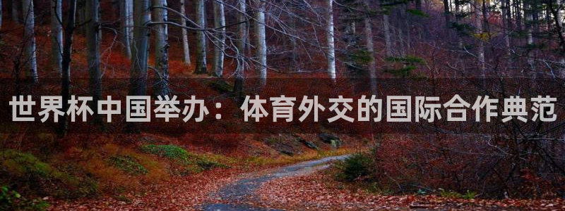 足球世界杯2026：世界杯中国举办：体育外交的国际合作典范