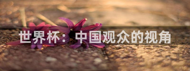 2006世界杯：世界杯：中国观众的视角