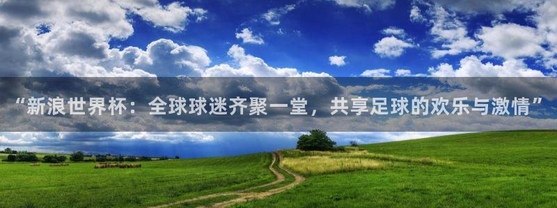 2026年世界杯直播平台：“新浪世界杯：全球球迷齐聚一堂，共享足球的欢乐与激情”