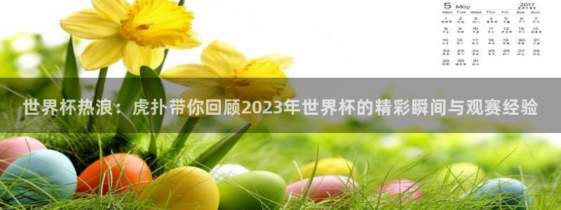 世界杯预选赛赛程：世界杯热浪：虎扑带你回顾2023年世界杯的精彩瞬间与观赛经验