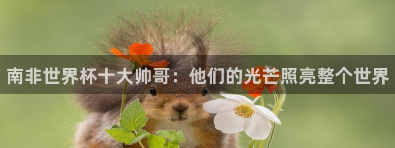 世预赛欧洲赛程表：南非世界杯十大帅哥：他们的光芒照亮整个世界