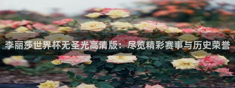 2026足球世界杯赛程：李丽莎世界杯无圣光高清版：尽览精彩赛事与历史荣誉